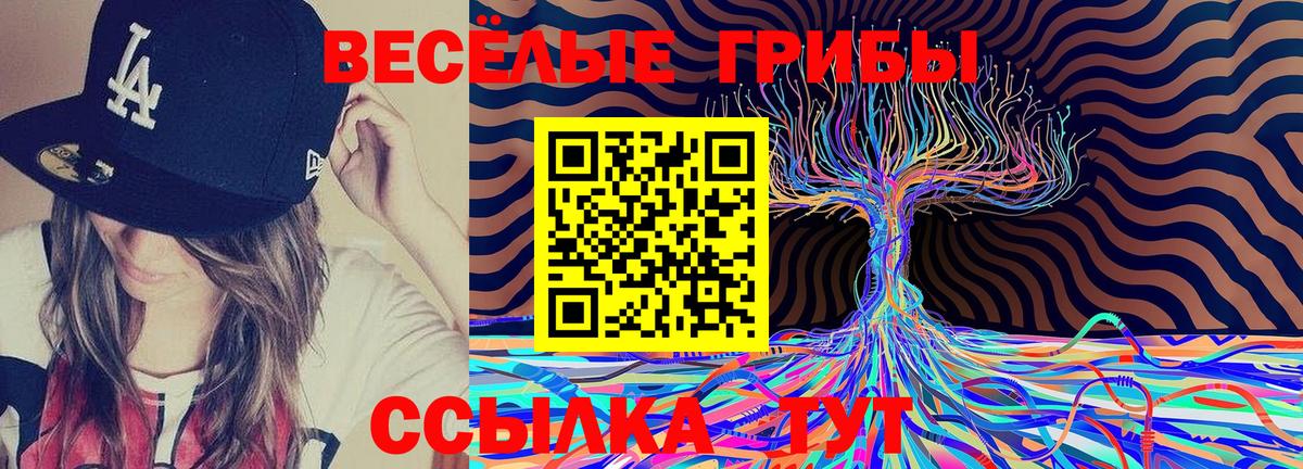 как найти   Псилоцибиновые грибы Psilocybe  Вход с VPN  Братск 